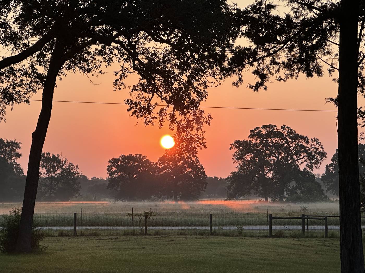 Sunrise over Sunstrike Farm pasture with fog and live oak silhouettes