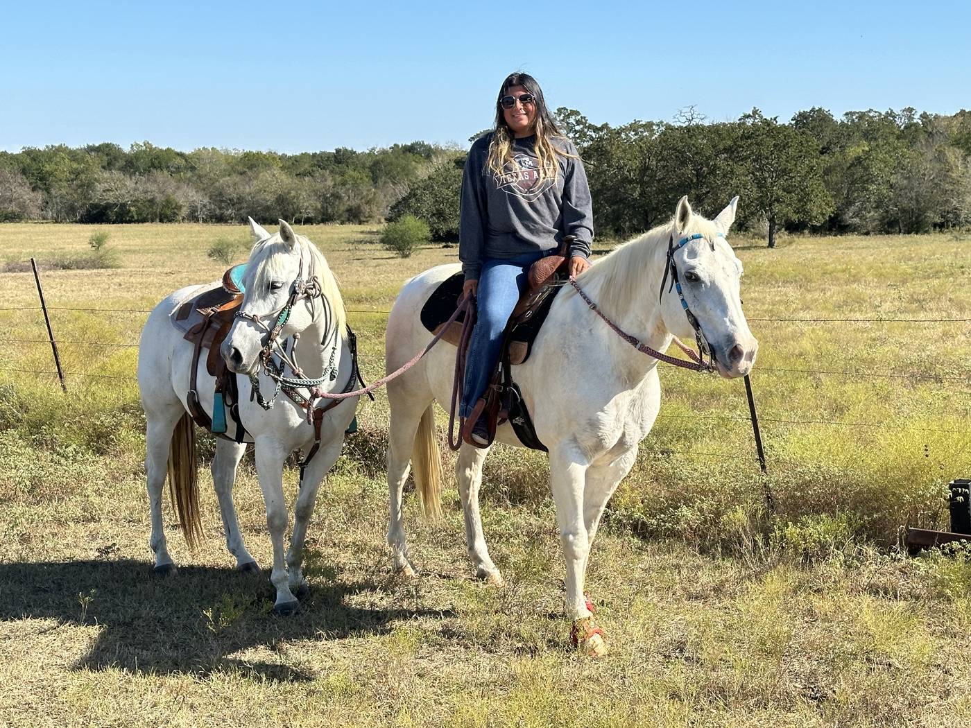 Two white horses with rider in the pasture