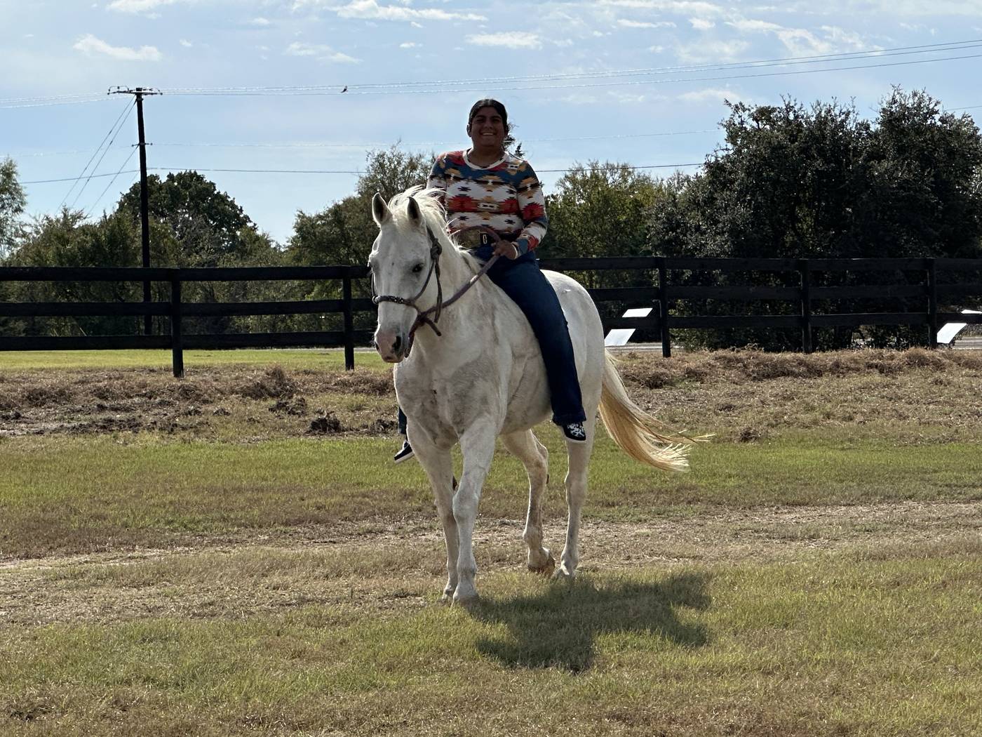 Rider on horseback in golden light, horse moving forward well
